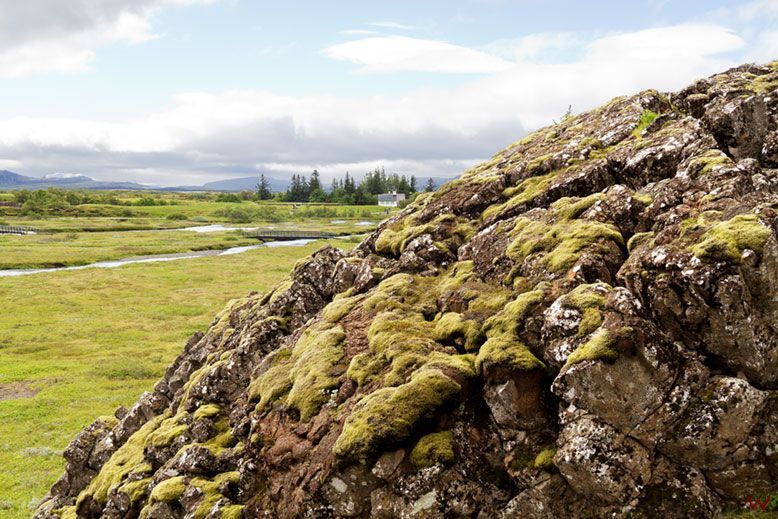 Rocas volcánicas en Thingvellir, uno de los mejores lugares que ver en el Círculo Dorado de Islandia
