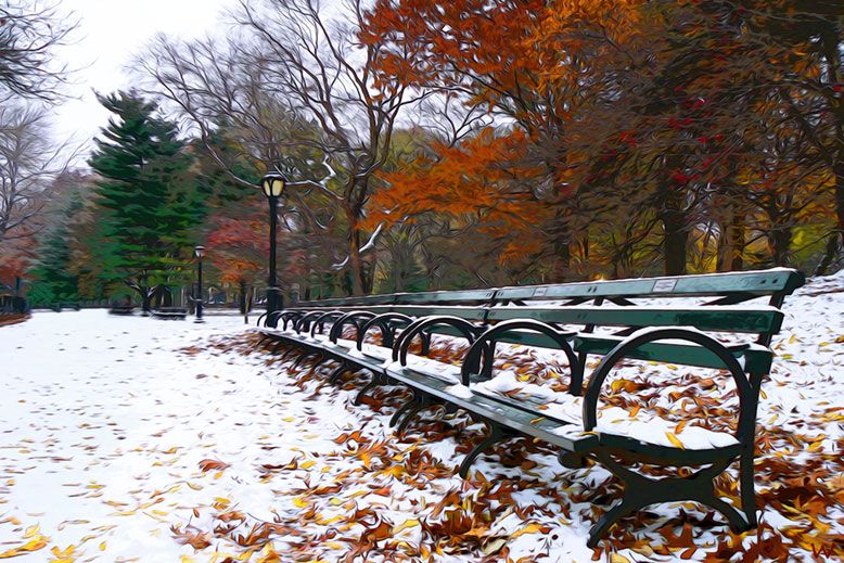 Recorrer Central Park en bicicleta de alquiler en invierno