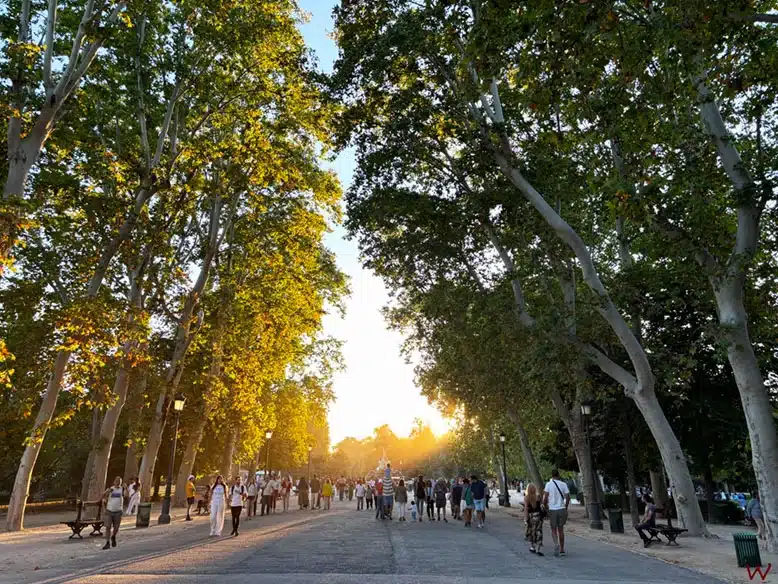 Descubre los caminos más bonitos que ver en el Retiro