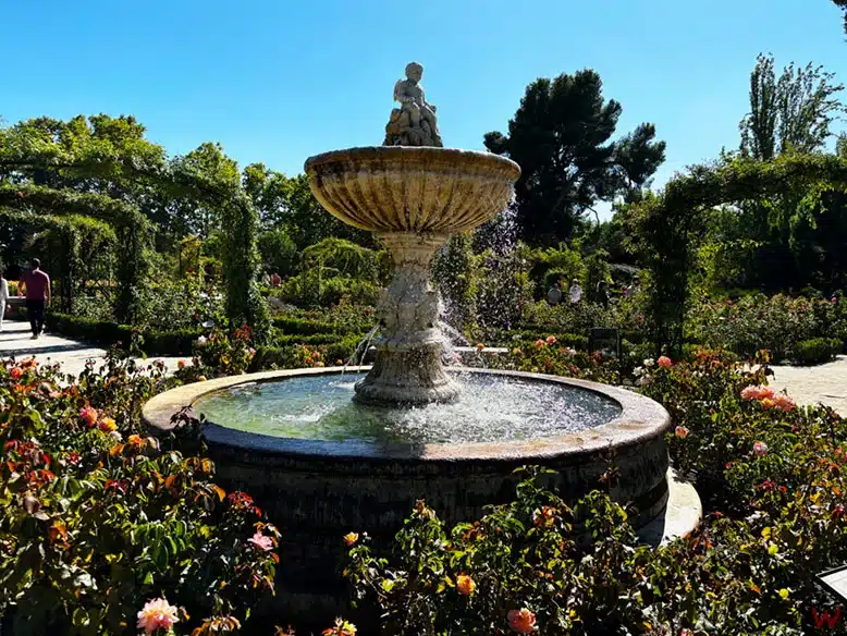 La Rosaleda del Retiro, uno de los lugares que ver en el Retiro