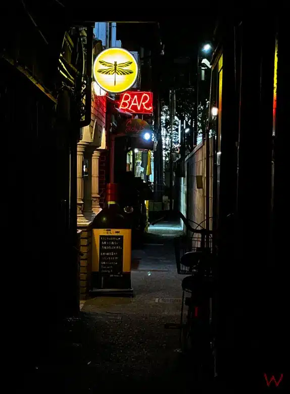 El callejón de Pontocho, uno de los lugares que ver en Kioto en 5 días