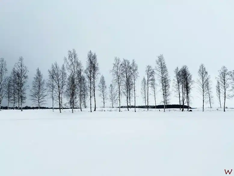 Paisaje en Rovaniemi