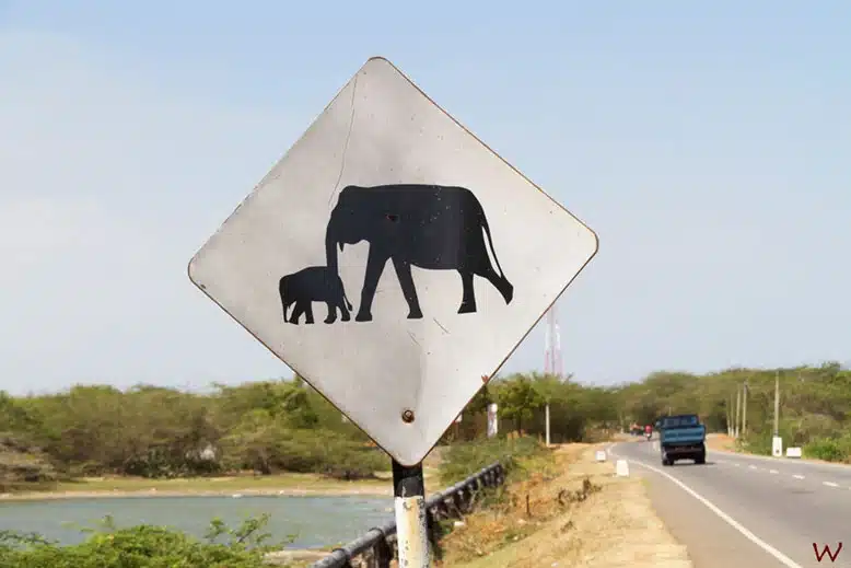 Conducir por la izquierda en Sri Lanka