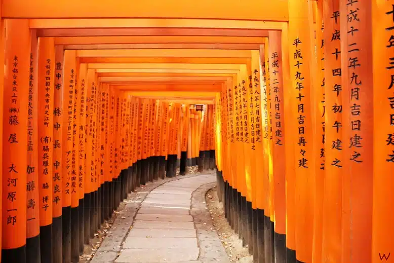 El Templo Fushimi Inari en Japón