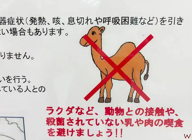 Objetos prohibidos en el Aeropuerto de Narita Tokio
