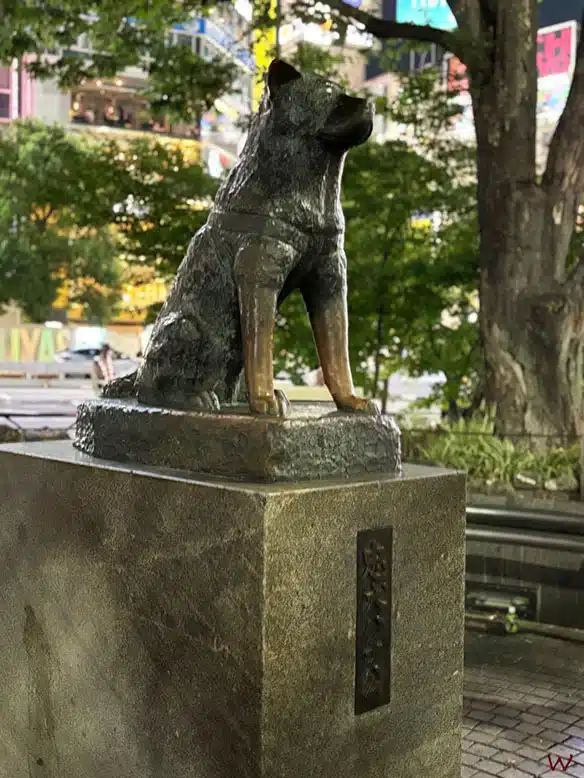 La Estatua de Hachikō en Shibuya, uno de los lugares que visitar en Tokio