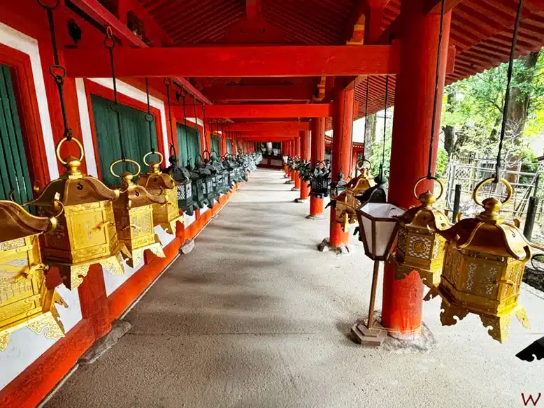 Farolillos en el Templo Kasuga Taisha al visitar el Parque de Nara