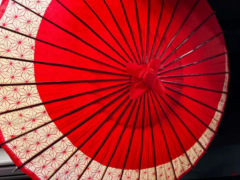 Ruta por Japón en 11 días