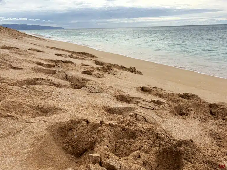 Pupukea Beach es una de los mejores lugares que ver en esta ruta por Oahu