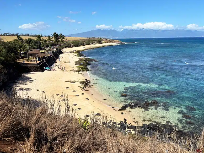Hookipa Beach, la meca del surf en Maui