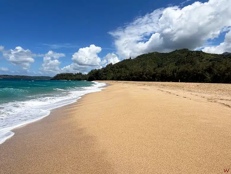 La playa de Lumahai en la isla de Kauai (Hawaii)