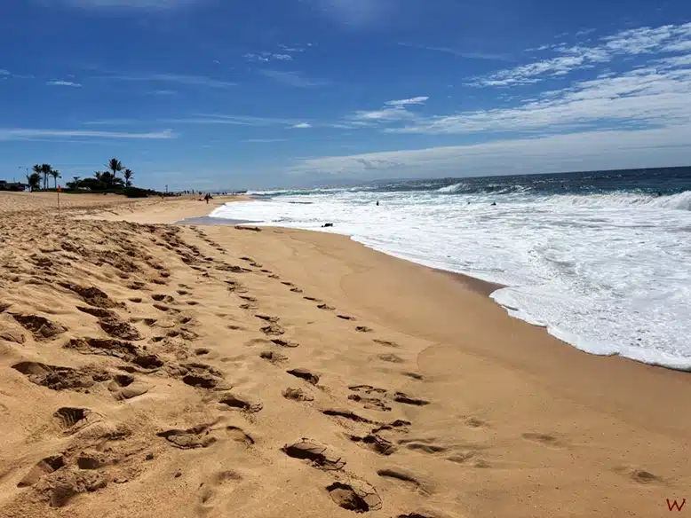Las mejores playas de Oahu