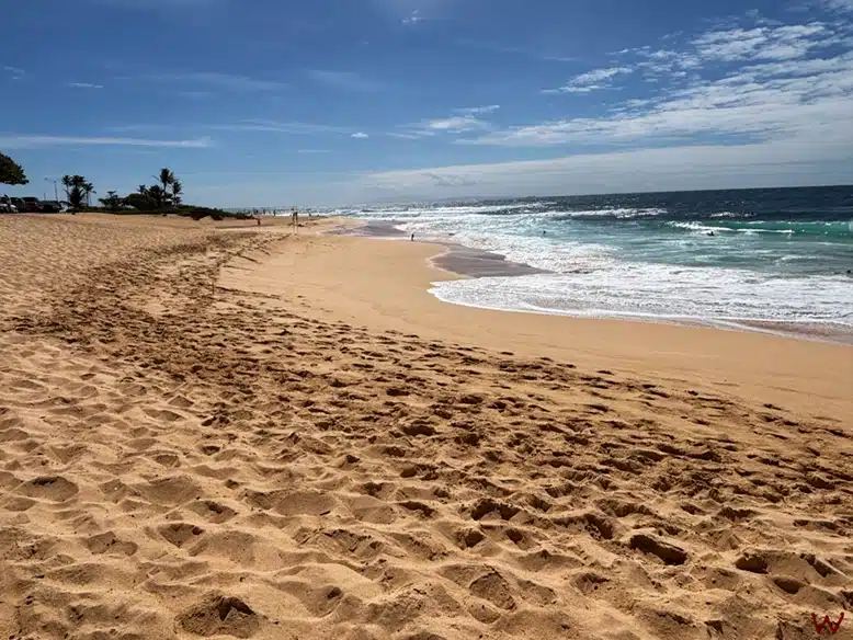 Sandy Beach, una de las paradas de nuestra ruta por Oahu