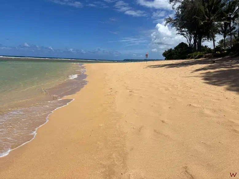 Tunnels Beach, una de las playas más bonitas de Hawaii