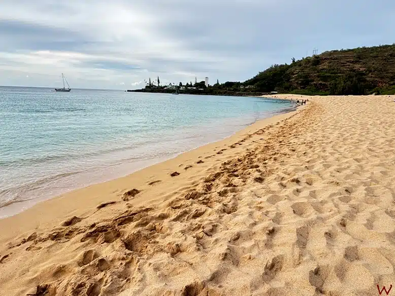Waimea Beach, algo que ver y hacer en Oahu