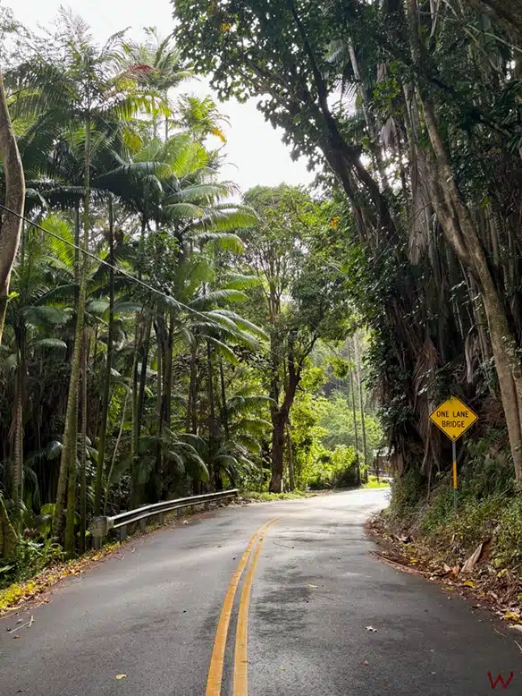 Llegando a un "one lane bridge" en Hawaii