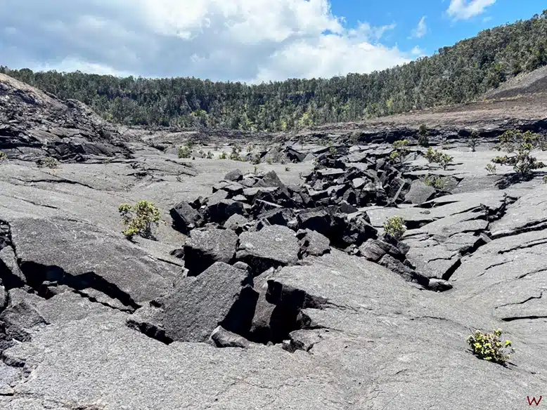 El suelo de lava del Kilauea Iki Crater al visitar el Parque Nacional de los Volcanes