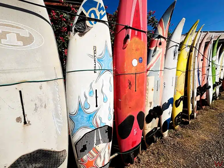 Surf, una de las mejores cosas que hacer en Oahu