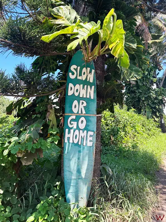 Conduce despacio por la ruta "Road to Hana"
