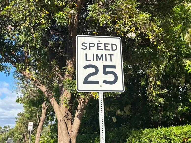 Límite de velocidad, uno de los consejos para conducir por Hawaii
