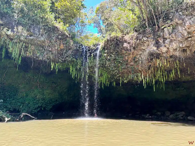 Twin Falls en la ruta "Road to Hana" de Maui