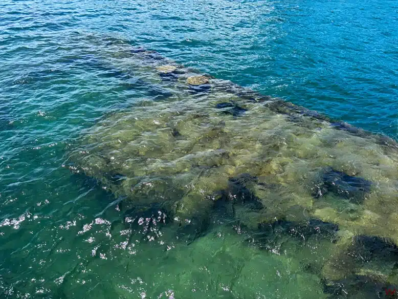 Los restos hundidos del USS Arizona al visitar Pearl Harbor
