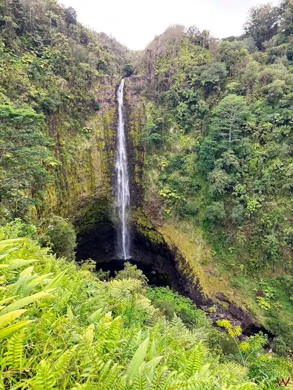 Akaka Falls, uno de los lugares que ver en Big Island