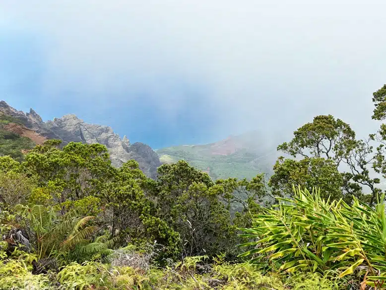 La Costa de Na Pali desde el mirador Kalalau