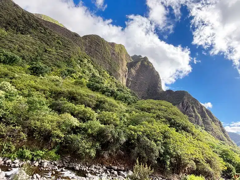 El Iao Valley en Maui