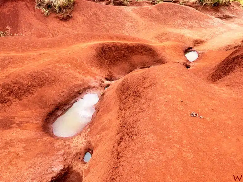 La cascada roja al visita el cañón del Waimea