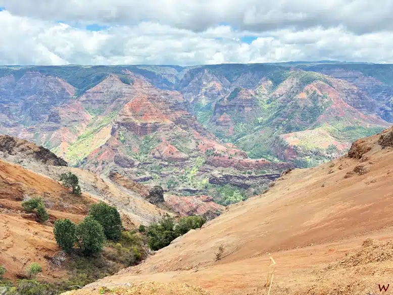 Vistas del cañón del Waimea en Kauai